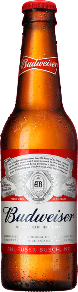 Botella De Budweiser Cerveza Colombiana - Budweiser - 12 Fl Oz Bottle (249x932), Png Download