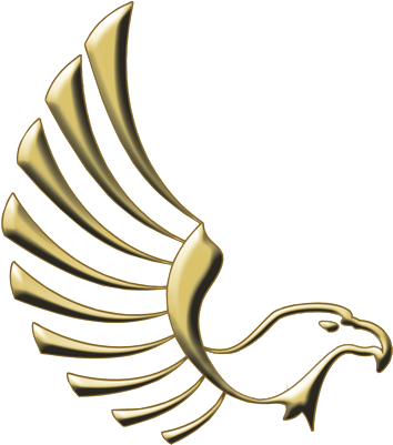 Aguila 2 - Copia - Cabeza De Aguila Png (400x400), Png Download