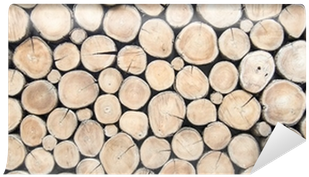 Wood Round Wall Texture (400x400), Png Download