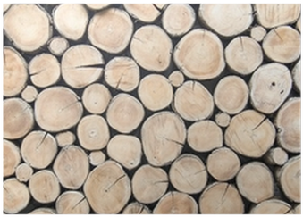 Wood Round Wall Texture (400x400), Png Download