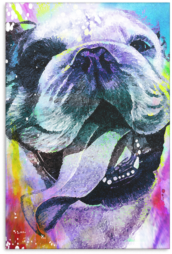 Bull Dog Canvas P13 - Bulldog Drawing (900x900), Png Download