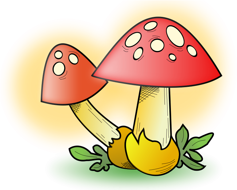 Mushrooms - Mushroom Clipart (800x618), Png Download
