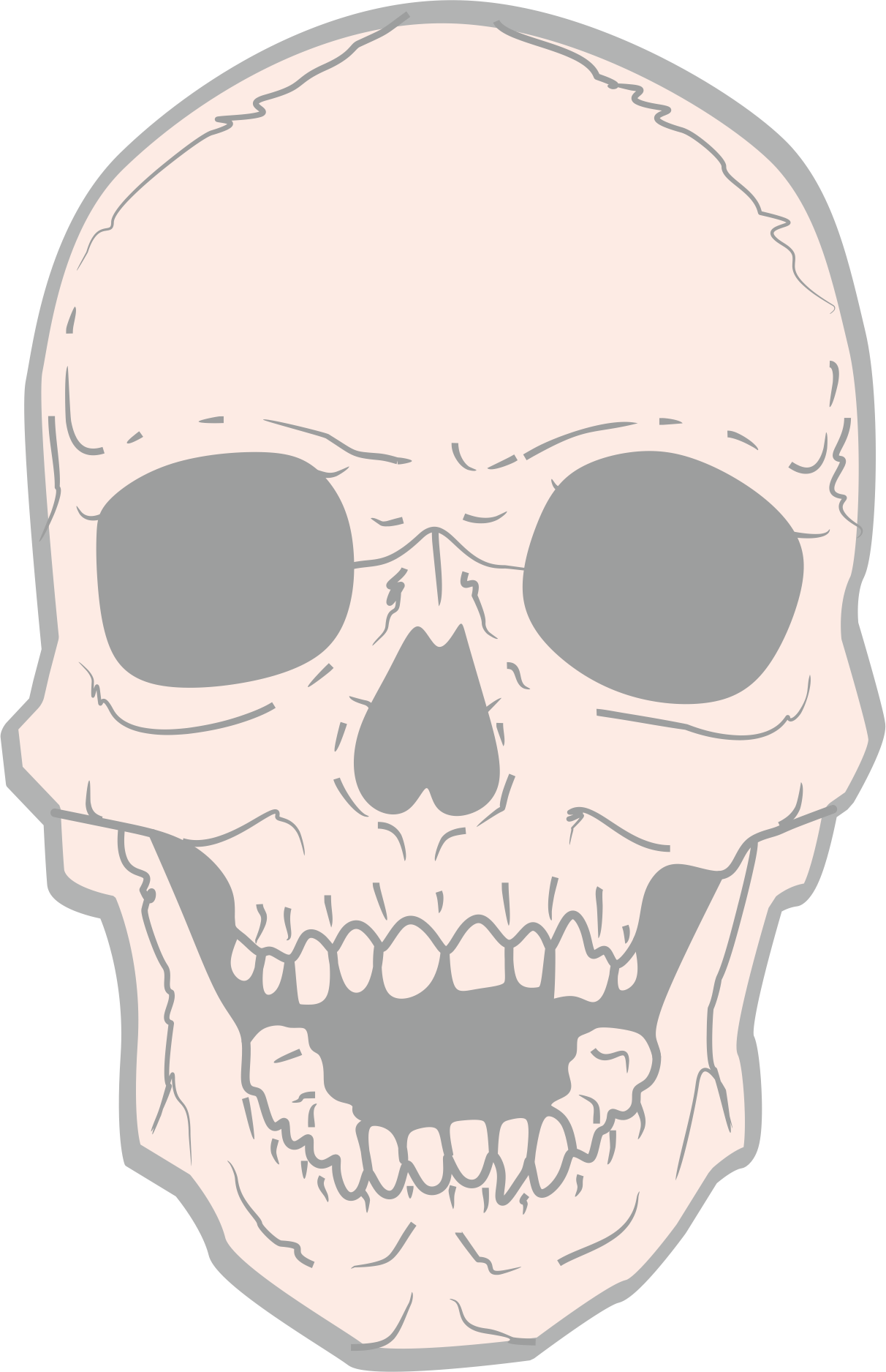 Illustrator (1212x1875), Png Download