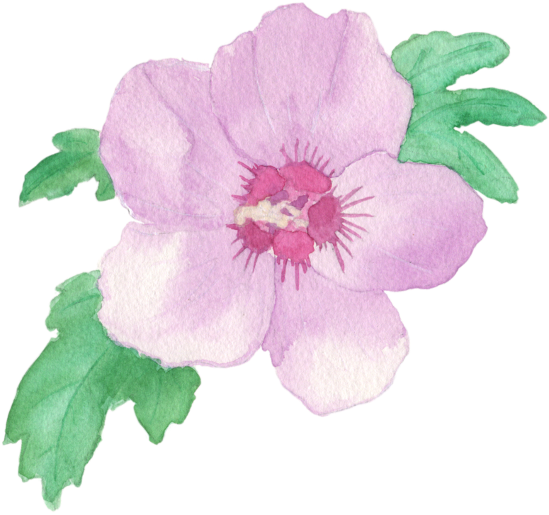 Watercolorros V2 - Rosa Canina (1000x1001), Png Download