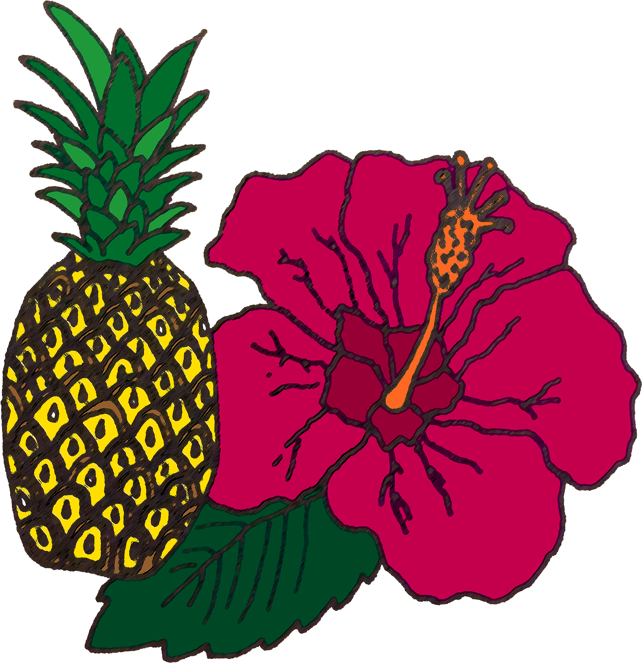 Pineapple & Hibiscus - Flower (2476x2448), Png Download