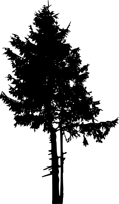 Free Download - Pine Trees Silhouette Png (397x678), Png Download