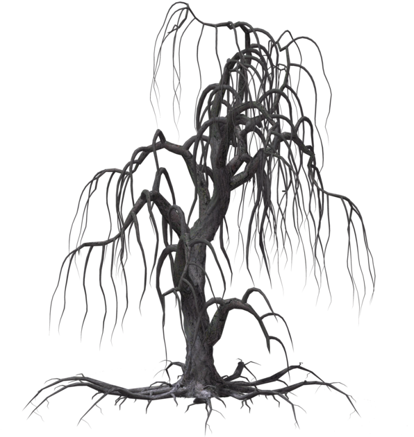 Cookies Clipart - Creepy Tree Drawing (1024x639), Png Download