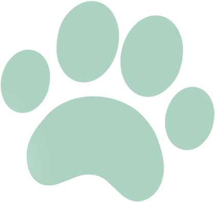 Paw - Logo Quiz Cat (500x466), Png Download