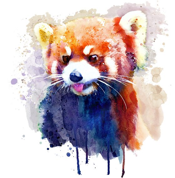 Bleed Area May Not Be Visible - Red Panda Watercolor Painting (600x600), Png Download