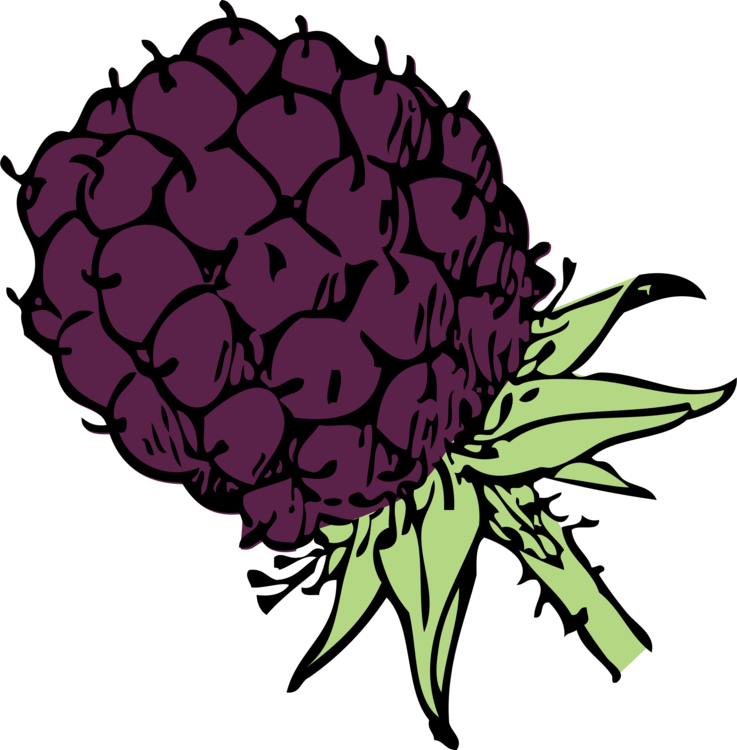Banner Library Stock Fruit Download Computer Icons - Blackberry Clip Art (737x750), Png Download