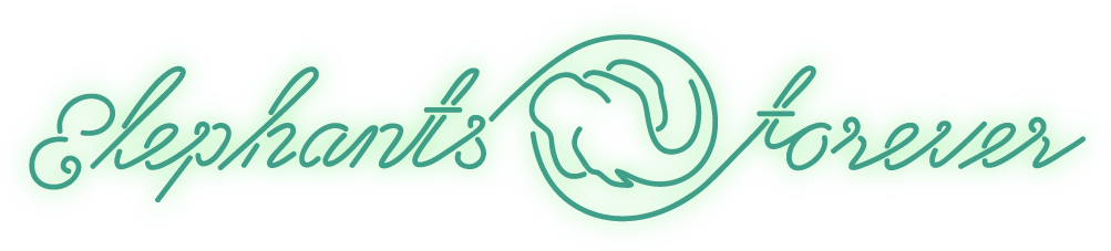 Interested In This Work Contact Us - Calligraphy (1003x227), Png Download