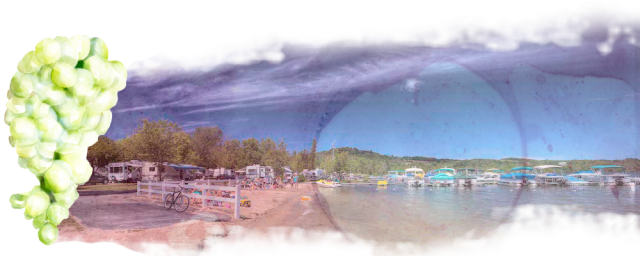 To Check Out Is The Ahgosatown Landing Marina & Rv - Painting (640x256), Png Download
