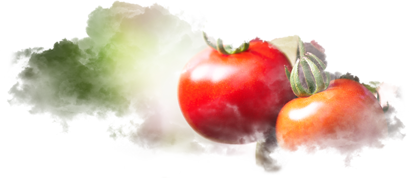 Production Steps - Plum Tomato (809x349), Png Download