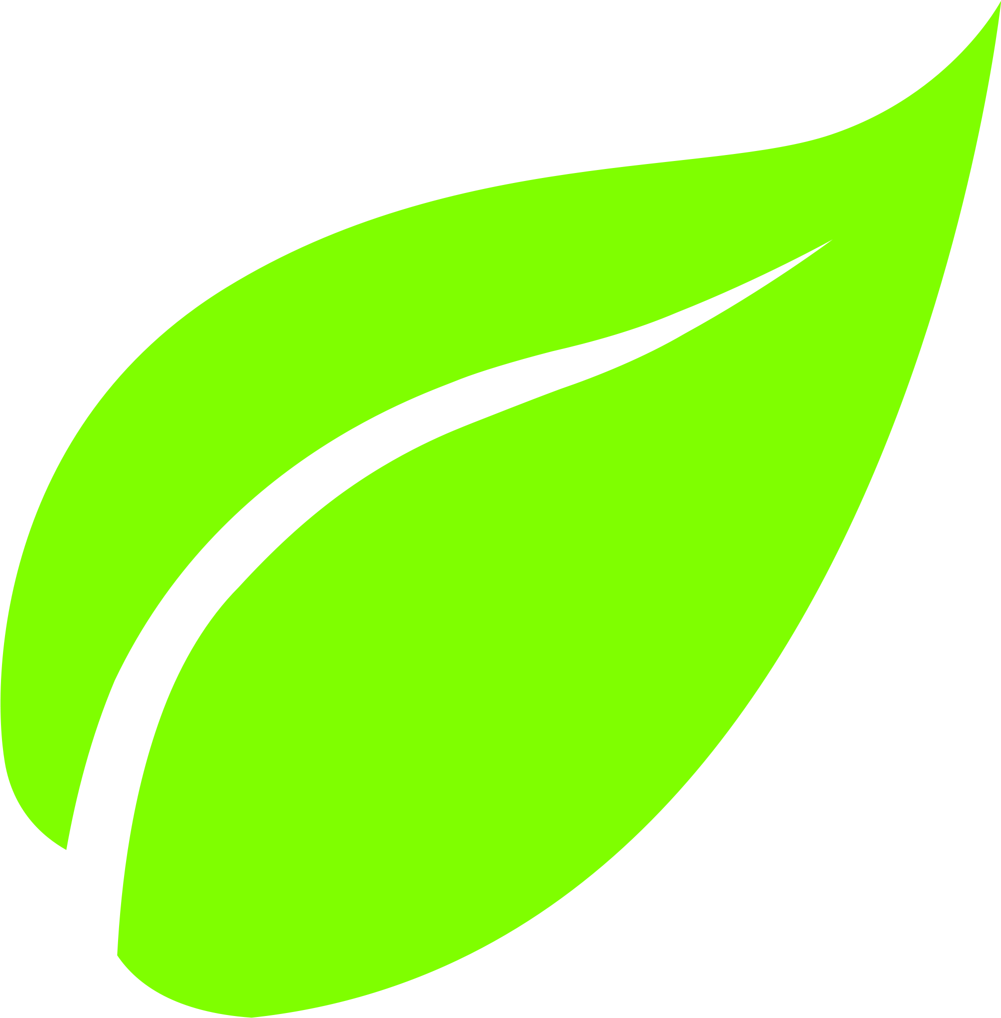 Leaf Png - Leaf Icon Svg (1003x1024), Png Download