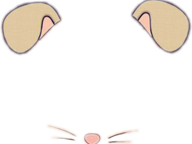 Download - Imagenes De Filtros De Snapchat Png (429x335), Png Download