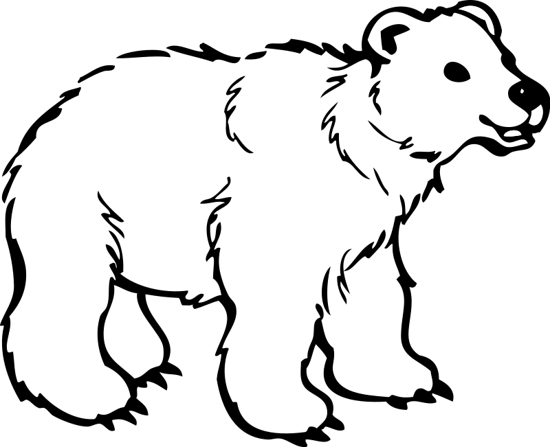 Young Polar Bear Svg Clip Arts 600 X 488 Px (600x488), Png Download