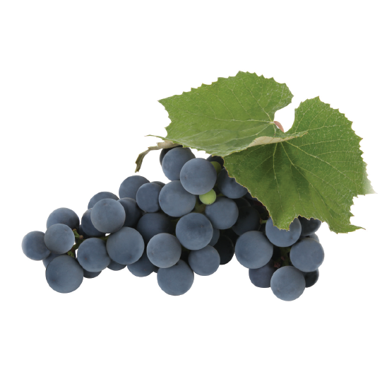 Grape - Concord Grapes Png (549x549), Png Download