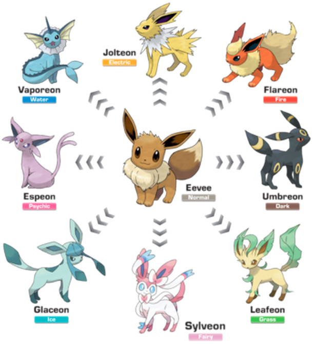 Eevee Evolutions Pokemon Go - Pokemon Eevee (350x380), Png Download