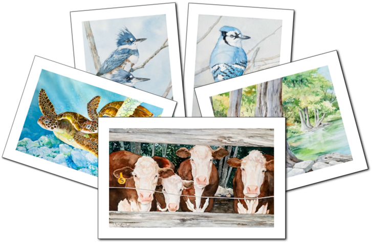 Artist Cards - Canoe (734x480), Png Download