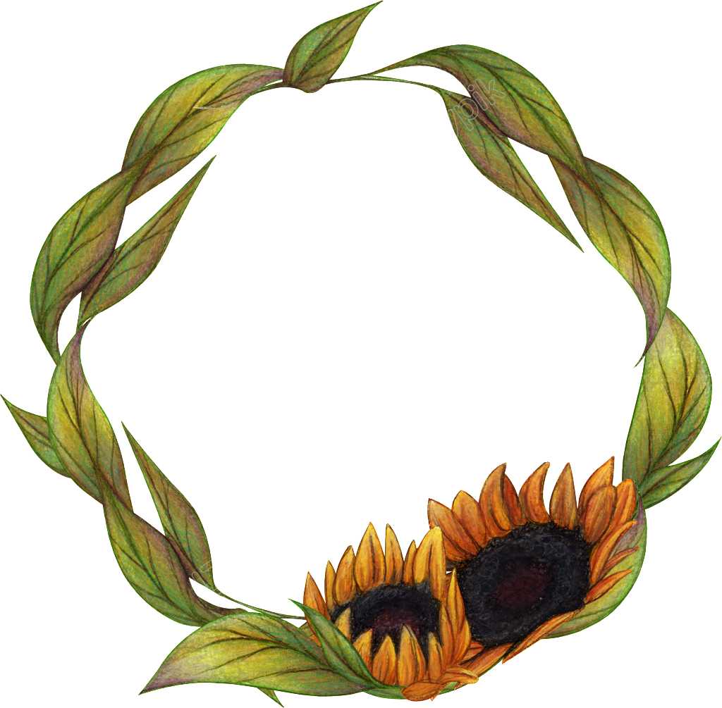 Sunflower Vector Wreath (1024x1005), Png Download