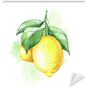 Watercolor Illustration - Limones Acuarelas (400x400), Png Download