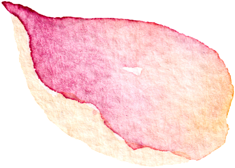 This Graphics Is Falling Petals Transparent Decorative - Watercolor Painting (1024x1024), Png Download