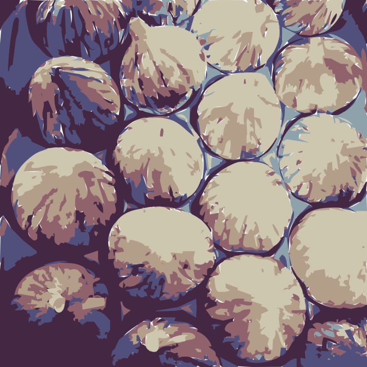 Common Fig Bourjassotte Noire Watercolor Painting Document - Common Fig (750x750), Png Download