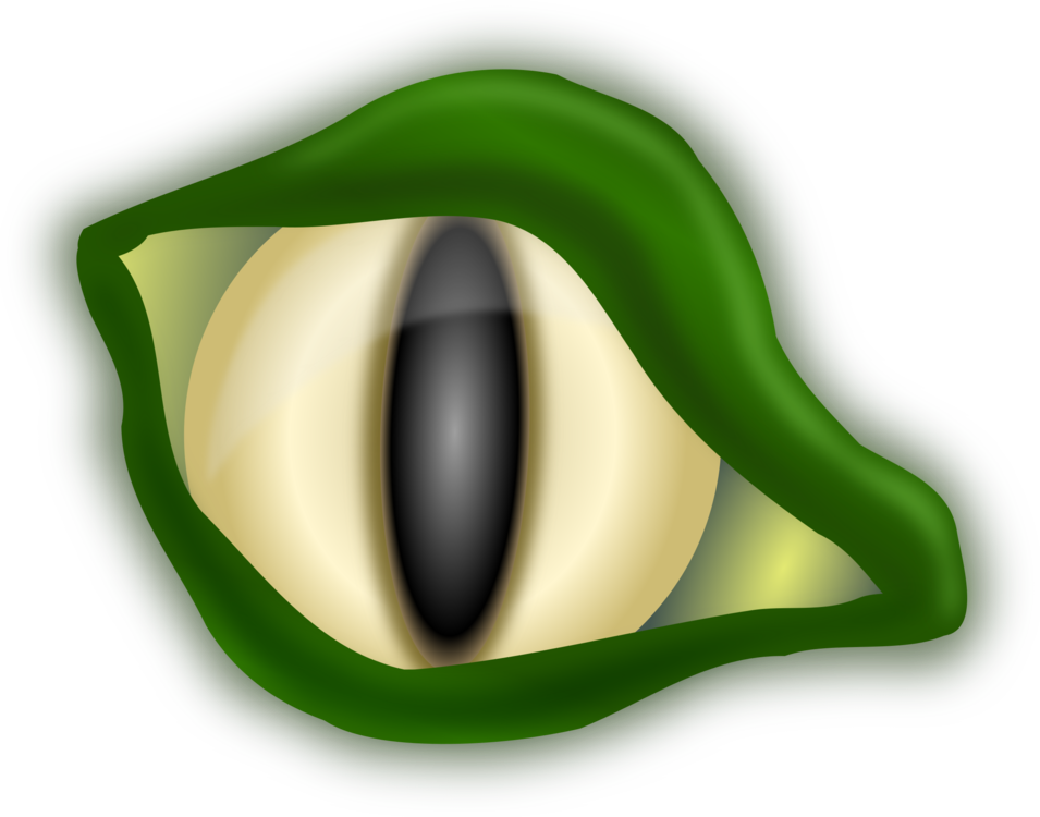 The Eye Of A Crocodile - Crocodile Eyes Clipart (800x628), Png Download