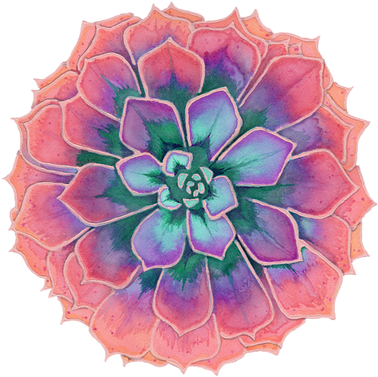 Click And Drag To Re-position The Image, If Desired - Succulent Plant (600x600), Png Download