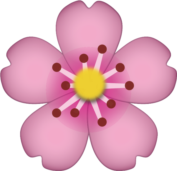 Download Cherry Blossom Icon - Cherry Blossom Emoji Png (480x480), Png Download