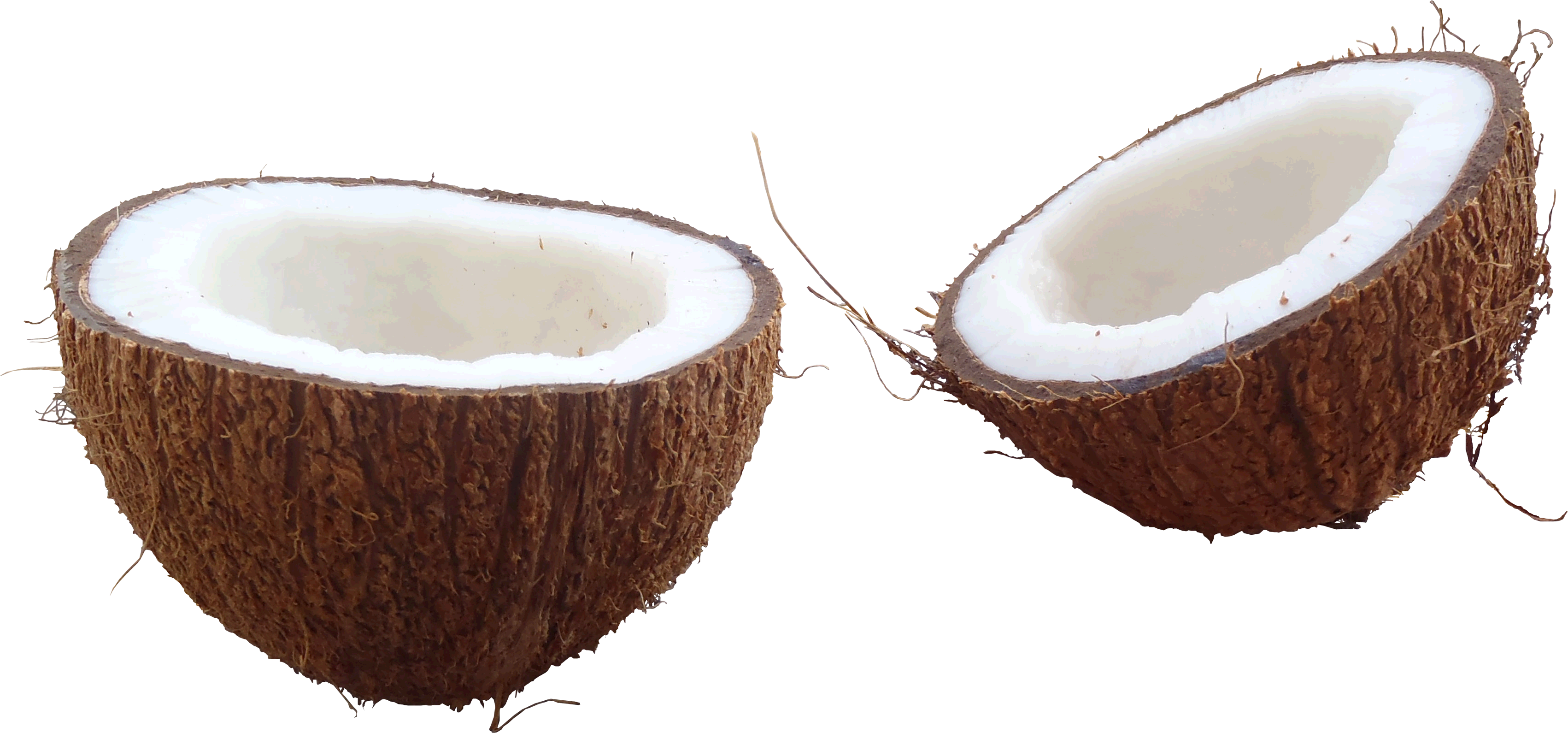 Coconut Clipart Transparent Tumblr - Coconut Png (1000x467), Png Download
