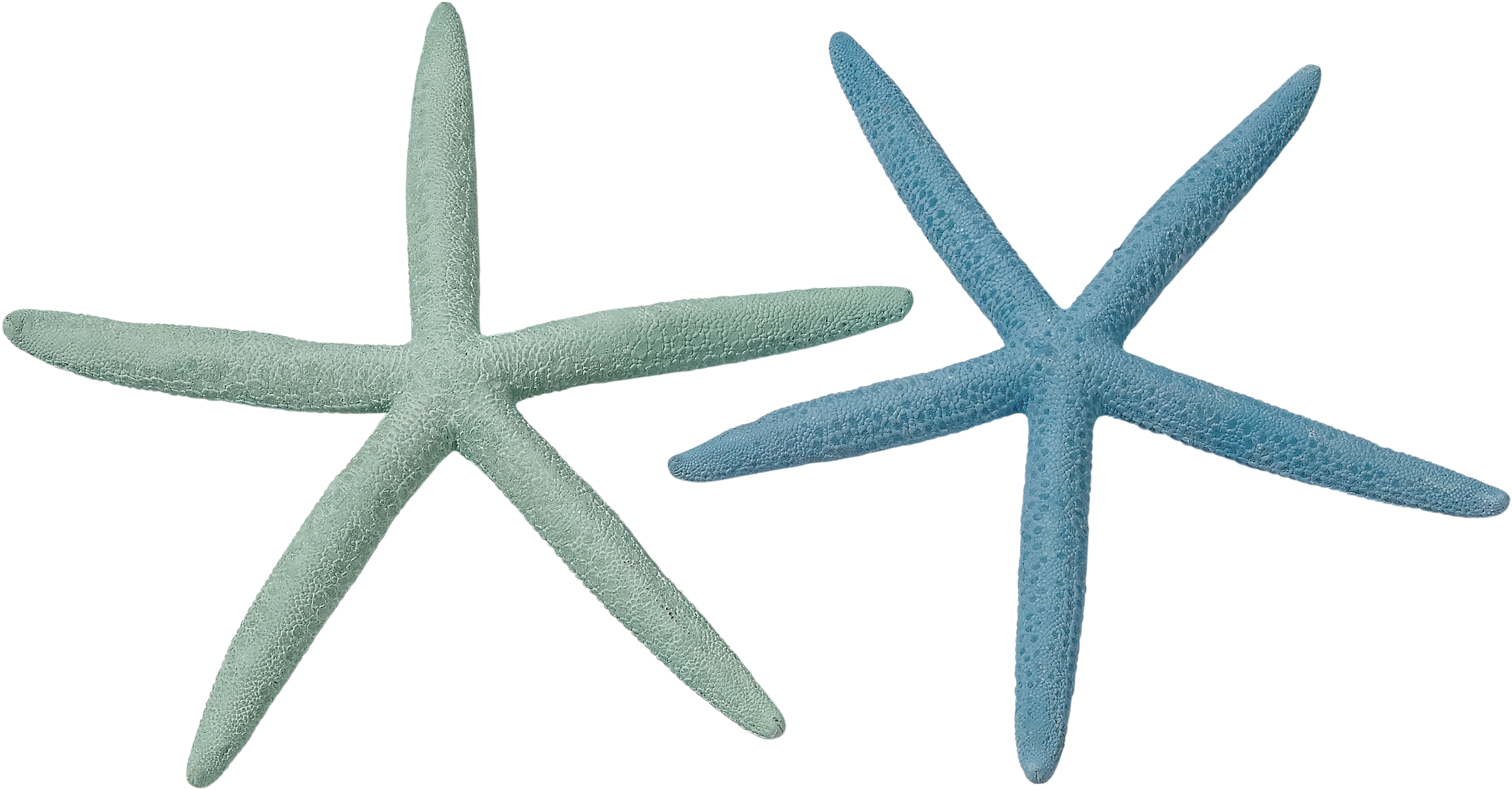 Mint Green Starfish Png Svg Library Download - Natural Finger Starfish 6-8"-dyed Pastel (3468x2032), Png Download