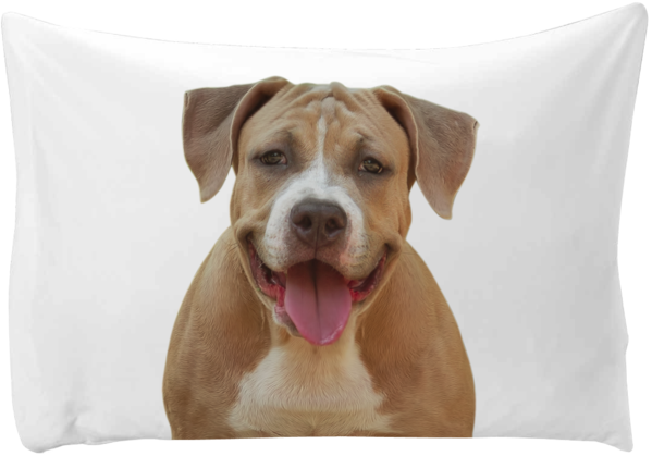 Personalized Pillow Case - Dog (599x419), Png Download