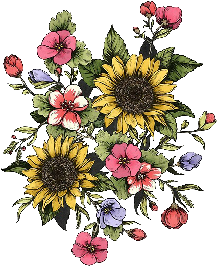 Cornflower Drawing Aster Flower - Tatuajes De Girasoles Y Flores (500x649), Png Download