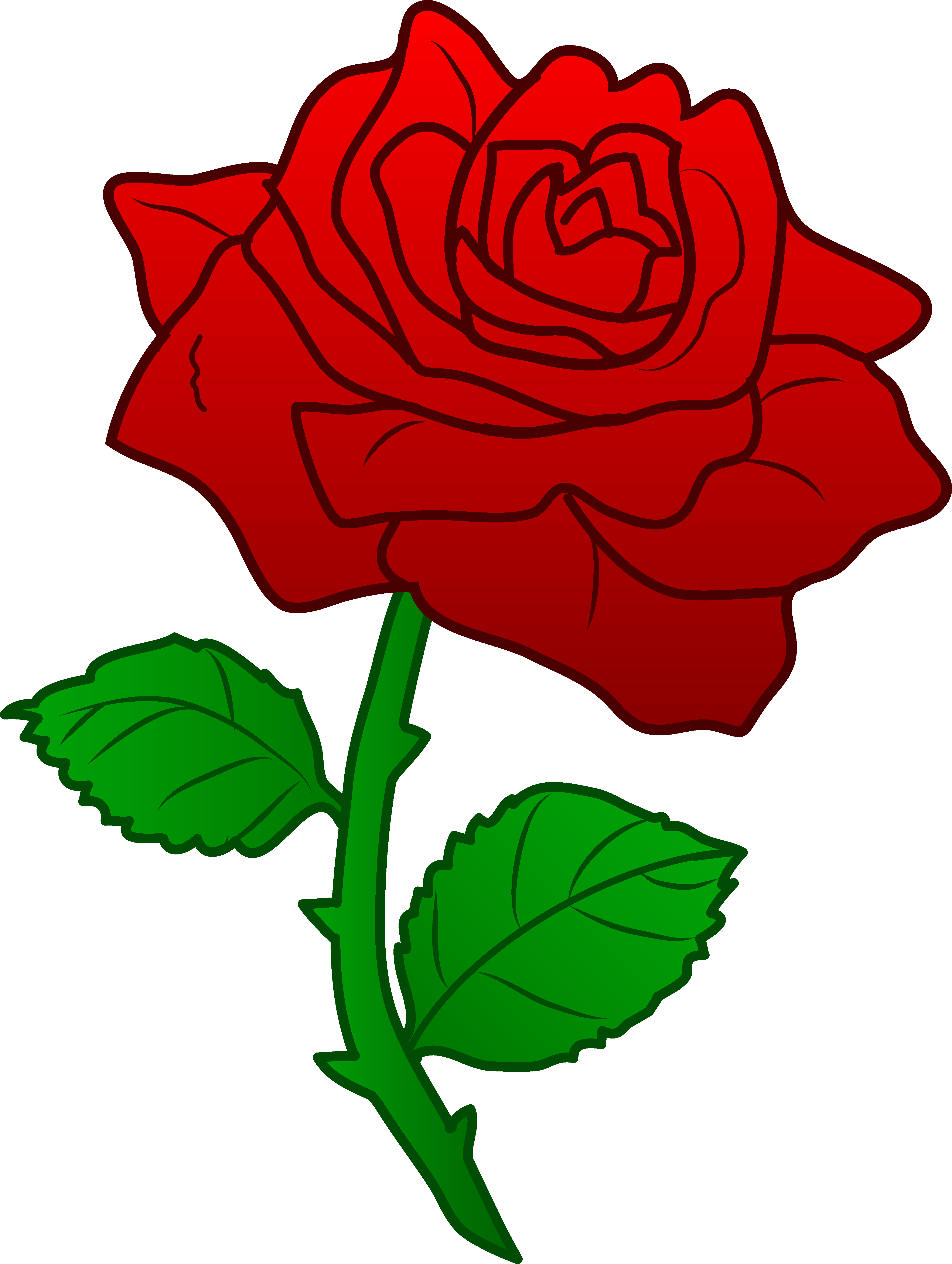 Beautiful Red Rose - Rose Beauty And The Beast Png (4481x5947), Png Download