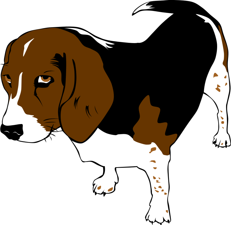 Png Transparent Stock Christmas Dogs Clipart - Dog Clip Art (800x778), Png Download