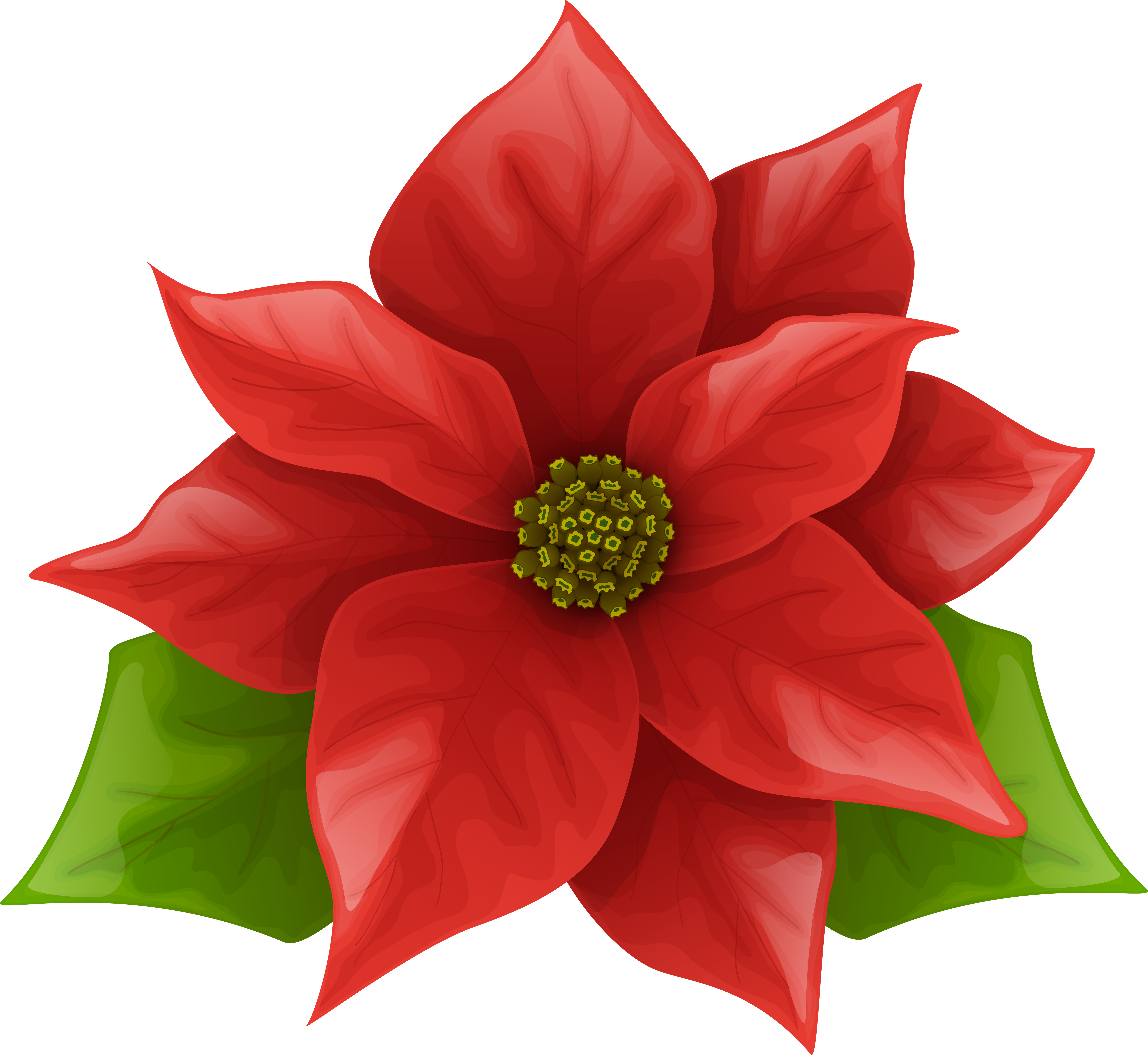 Png Free Stock Christmas Poinsettia Clipart (8000x7355), Png Download