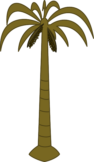 Black, Outline, Drawing, Silhouette, Palm, Tree, White - Palm Tree Clip Art (374x640), Png Download