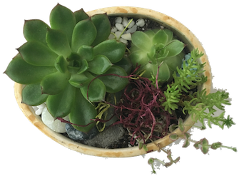 This Is Some Of My Work - Moss (500x500), Png Download