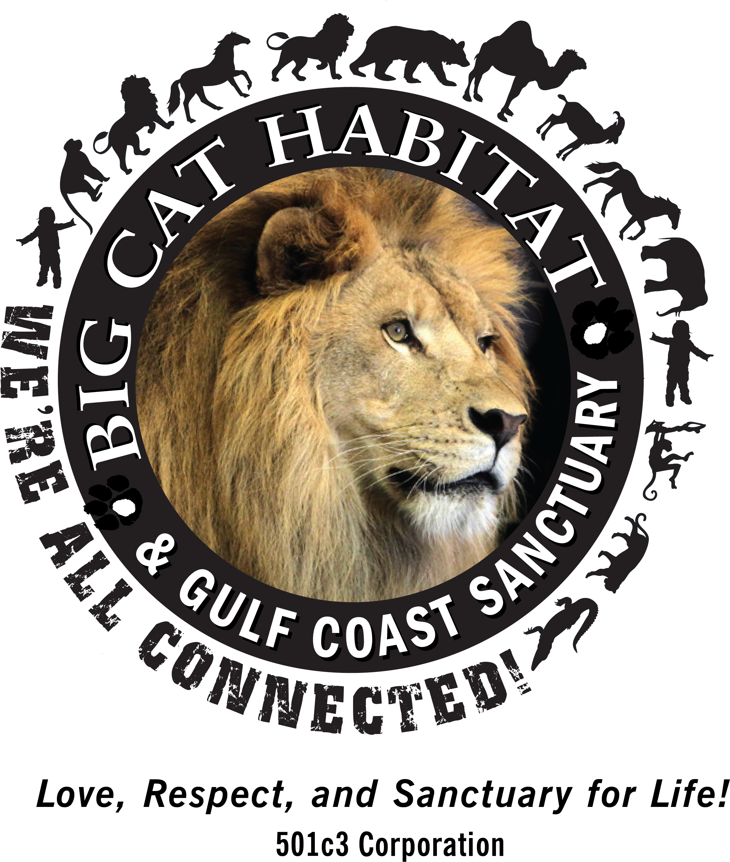 Thank You For Your Support Of Our Mission To Provide - Masai Lion (2928x2944), Png Download