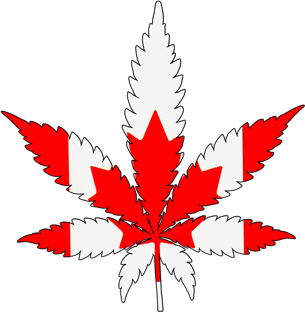Canada Flag (1200x1075), Png Download