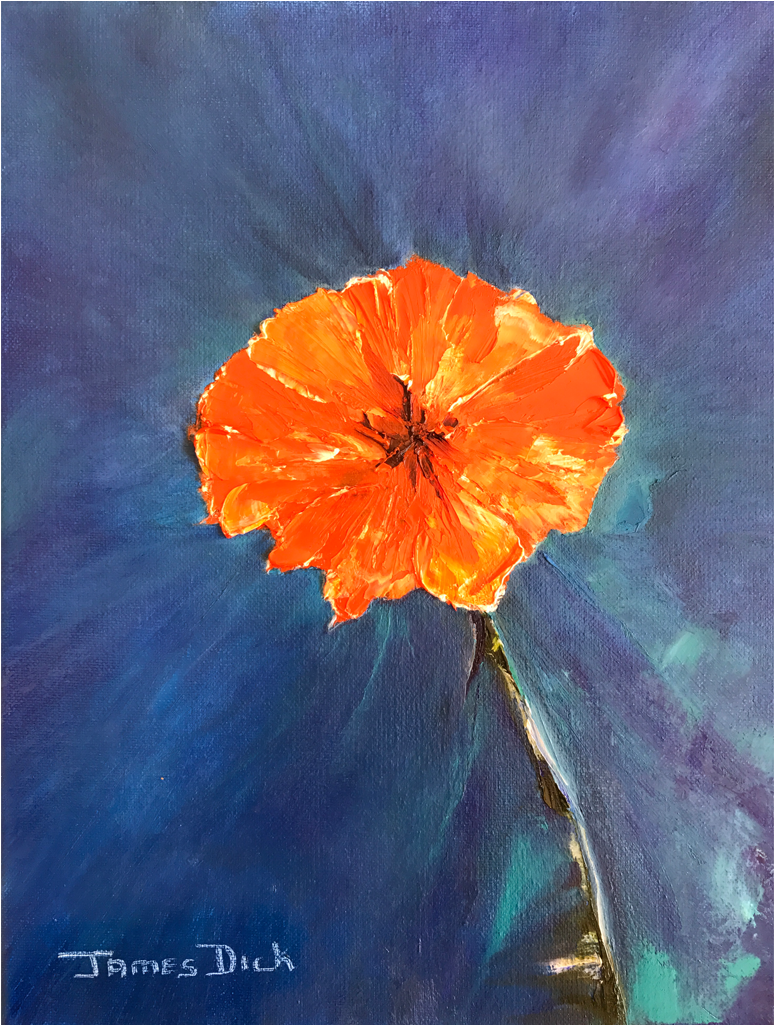 “kallstroemia Grandiflora / Arizona Poppy” By James - Painting (1024x1024), Png Download