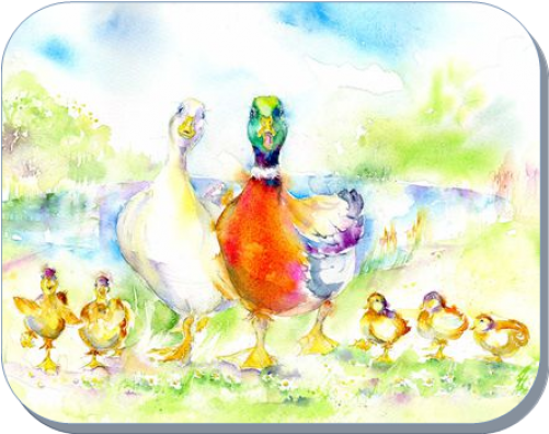 Duck (500x500), Png Download
