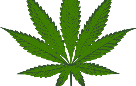 Legal High - Weed Black And White (475x300), Png Download