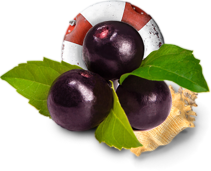 Açai Nole Bowls - Acai Berries (434x351), Png Download