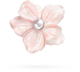 Impatiens (580x460), Png Download