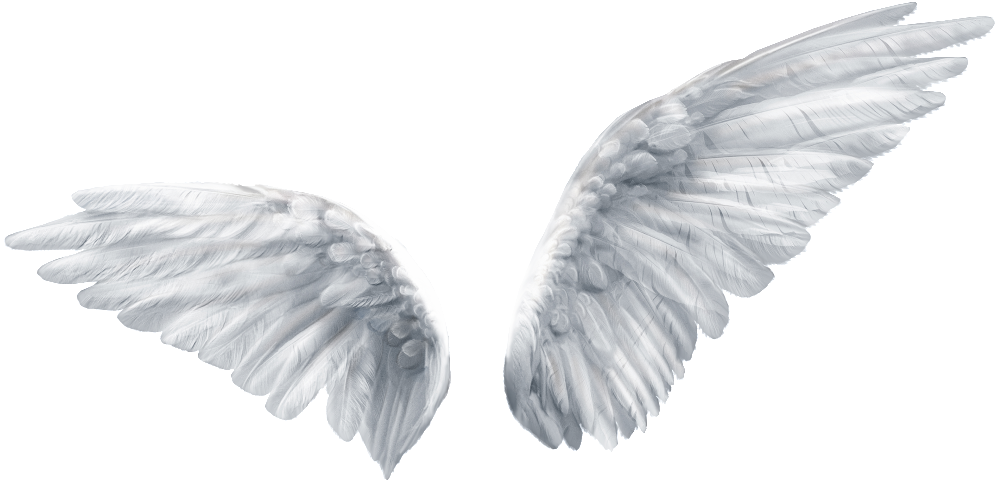 Pintado A Mano De Un Par De Alas Png Transparente - Butterfly Angel Wing (1024x507), Png Download