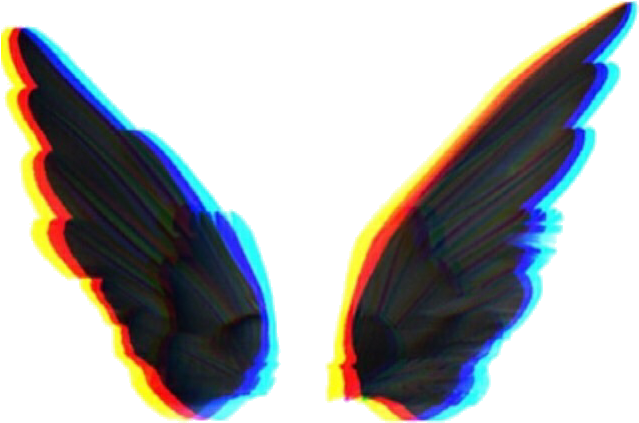 Insect (640x582), Png Download
