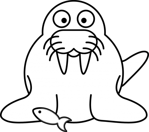 Walrus,fish,sea - Cartoon Walrus (500x441), Png Download