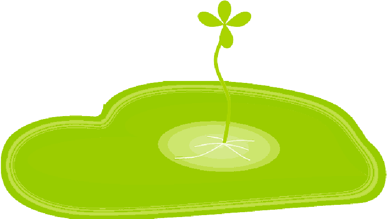 Mb Image/png (800x448), Png Download